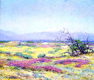 The Flowering Desert