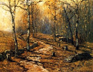 Autumn Woodlands