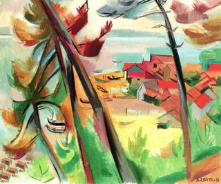 Houses and Pines at Arcachon