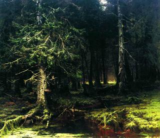 Deep Forest
