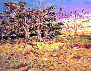 Paisaje