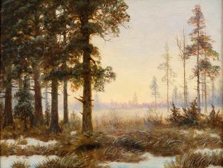 Forest Glade in Winter