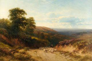 Scene in Hampshire