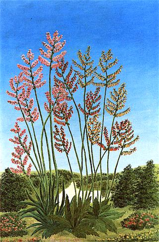The Field of Flowers