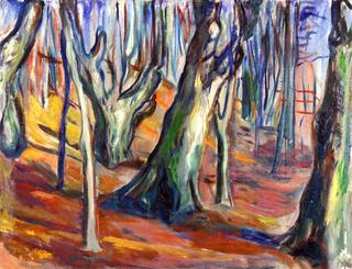 Elm Forest in Spring