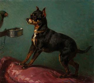 Dog with Parrot
