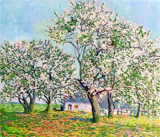 Spring Blossoms
