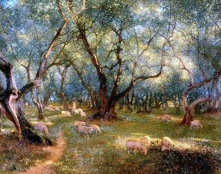 Olives of St Rocco