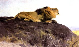 Roaring Lion