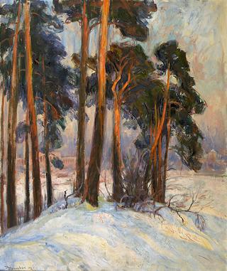Pine Trees on Bygdø