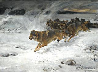 A Pack of Wolves