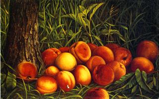 Peaches