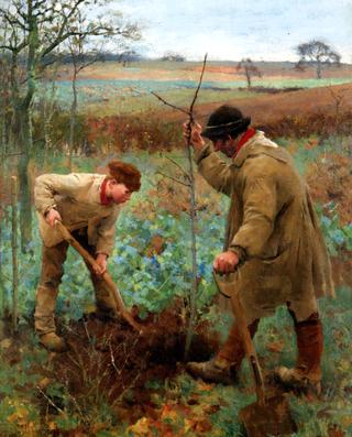 Planting A Tree