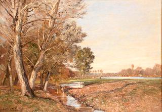 Riverscape with Willows and Poplars