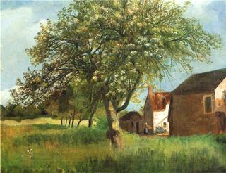 Flowering Tree in Cernay-la-Ville