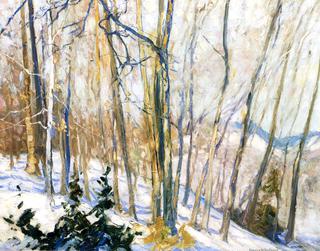 Winter Sun