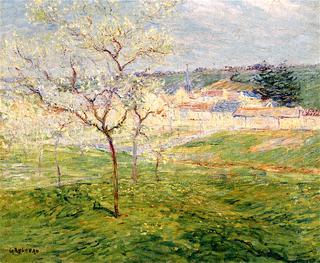 Orchard in Spring
