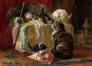 kittens at play