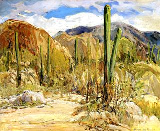Giant Cacti - Arizona