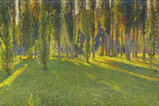 Poplars in the Vallée du Vert near Mouline