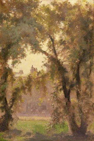 From My Studio Window