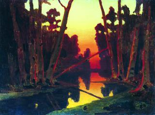 Sunset in the Forest