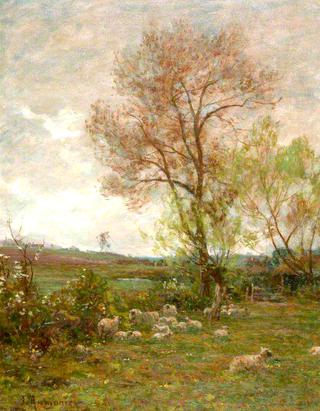 Landscape with Sheep