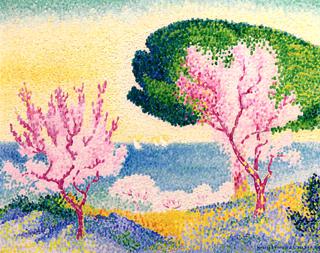 Pink Spring