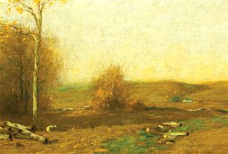 Late Afternoon in Autumn
