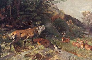 Deer Fight