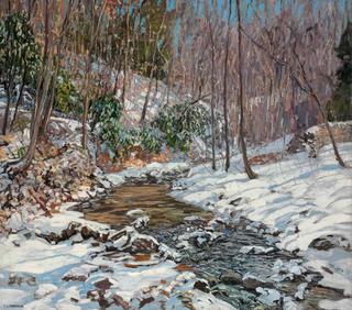 Woodland Brook