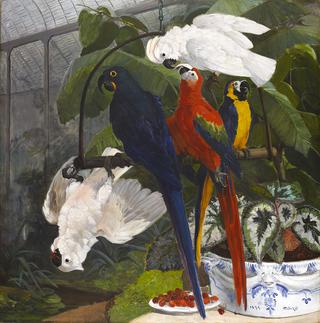 Parrots in the Garden of Plants