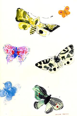 Butterflies