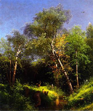 Deer in the Wild Woods