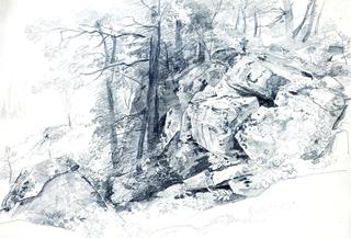 岩石和树木（科纳尼克岛？）