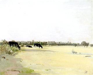 Meadows