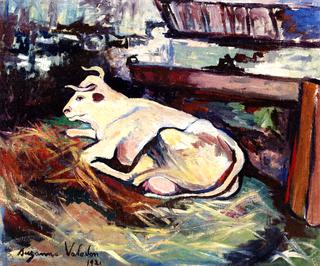 Cow Lying Down in the Stable