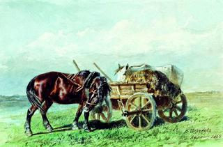 Horse in the Field