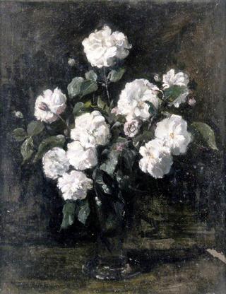 Pink Roses