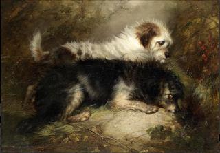 Terriers Lying in Wait