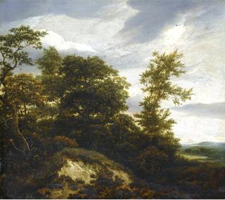 A wooded dune landscape