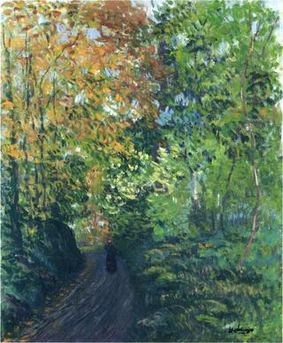 In the Forest