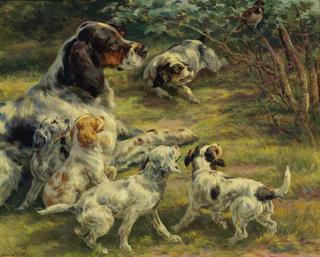 The Curious Pups