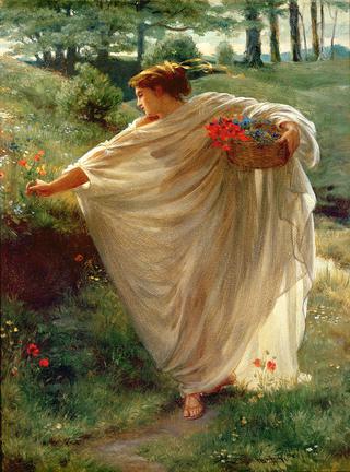 Wild Blossoms