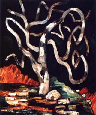 Fig Tree
