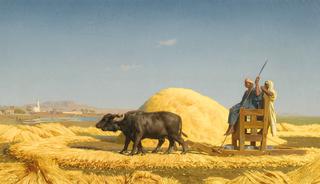 The Grain Threshers, Egypt