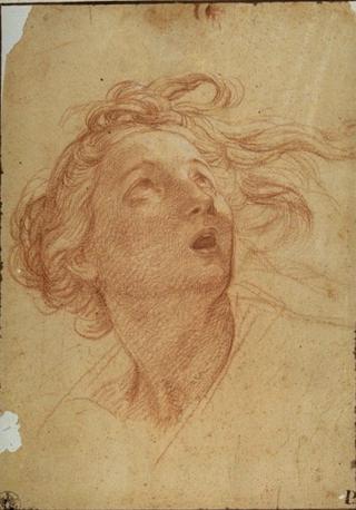 Head of a Woman
