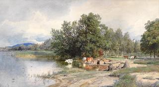 Summer landscape