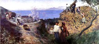 Harvesting Scene
