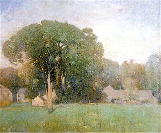 Afternoon Landscape